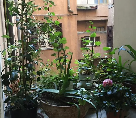 Apartamento Casa Magiuli' Navona